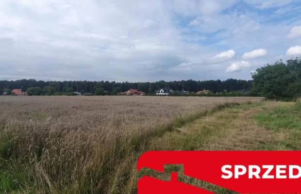 Piękna działka budowlana blisko lasu- 17ar-Świdnik
