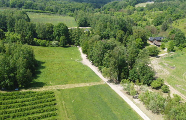 Działka 3580 m2 w Kazimierzu Dolnym 4 km od rynku.