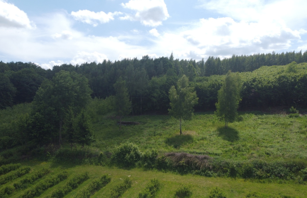 Działka 3580 m2 w Kazimierzu Dolnym 4 km od rynku.
