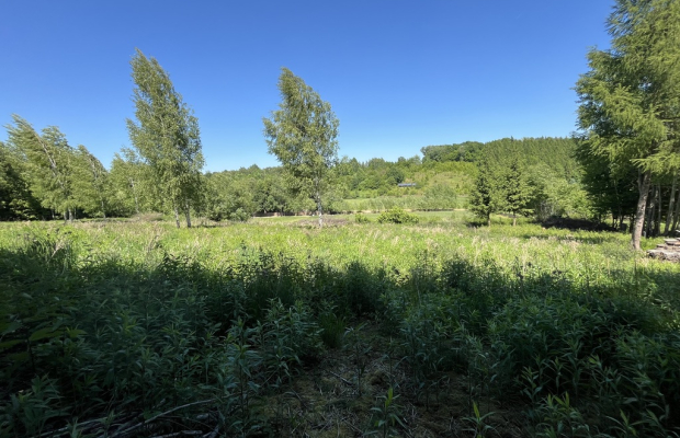 Działka 3580 m2 w Kazimierzu Dolnym 4 km od rynku.