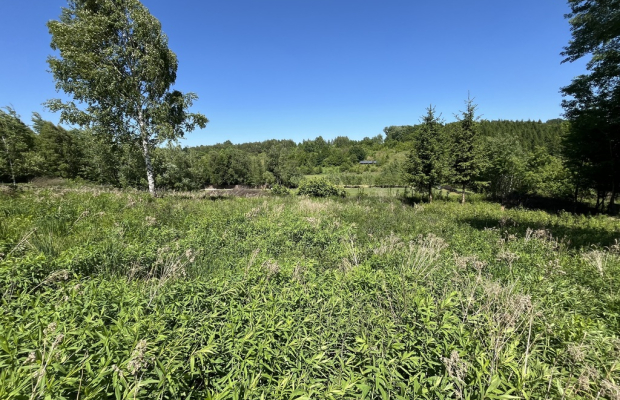 Działka 3580 m2 w Kazimierzu Dolnym 4 km od rynku.