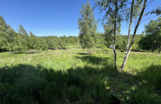 Działka 3580 m2 w Kazimierzu Dolnym 4 km od rynku.