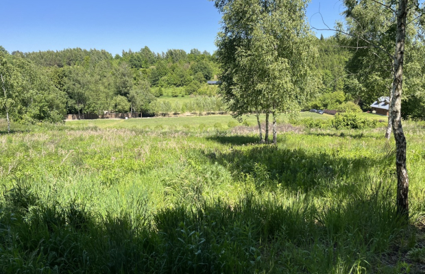 Działka 3580 m2 w Kazimierzu Dolnym 4 km od rynku.