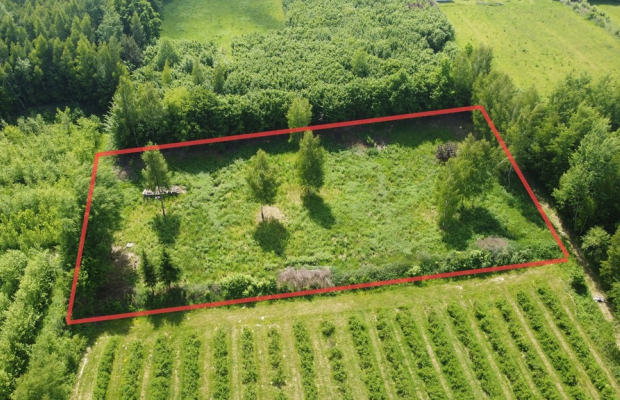 Działka 3580 m2 w Kazimierzu Dolnym 4 km od rynku.