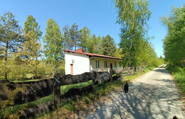 Dom na działce 4200 m2 w Gródku gm. Policzna.