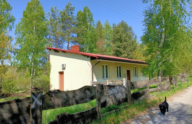 Dom na działce 4200 m2 w Gródku gm. Policzna.