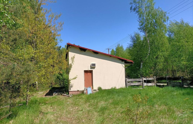 Dom na działce 4200 m2 w Gródku gm. Policzna.