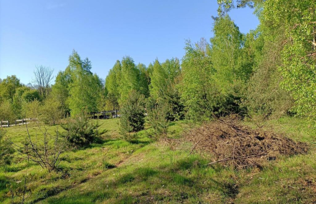 Dom na działce 4200 m2 w Gródku gm. Policzna.
