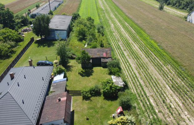 Dom 50 m2  na działce w m. Babilon gm. Lipsko.