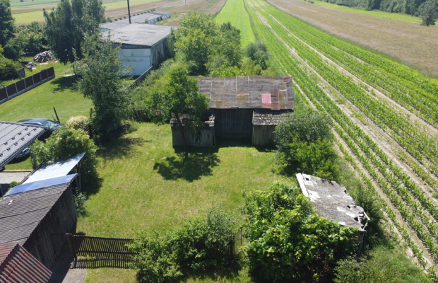 Dom 50 m2  na działce w m. Babilon gm. Lipsko.