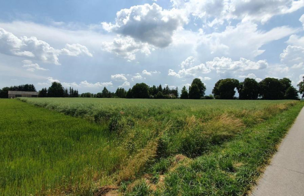 Piękna, duża działka w spokojnej okolicy - Pólko