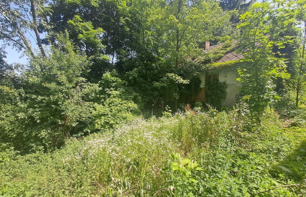 Gm. Rybczewice - Częstoborowice -siedlisko - 20ar