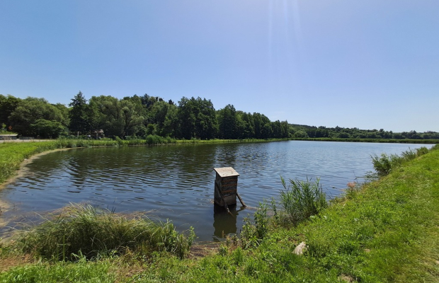Gm. Rybczewice - Częstoborowice -siedlisko - 20ar