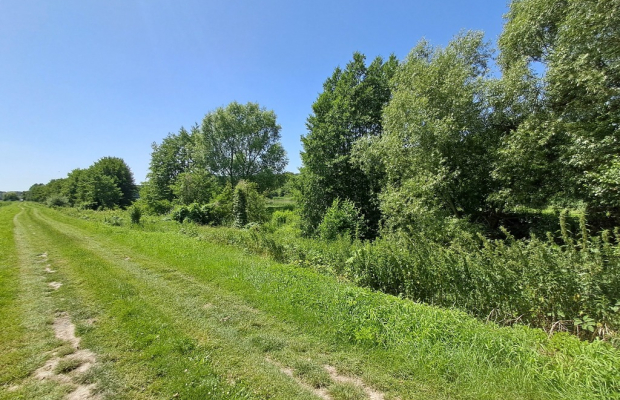 Gm. Rybczewice - Częstoborowice -siedlisko - 20ar