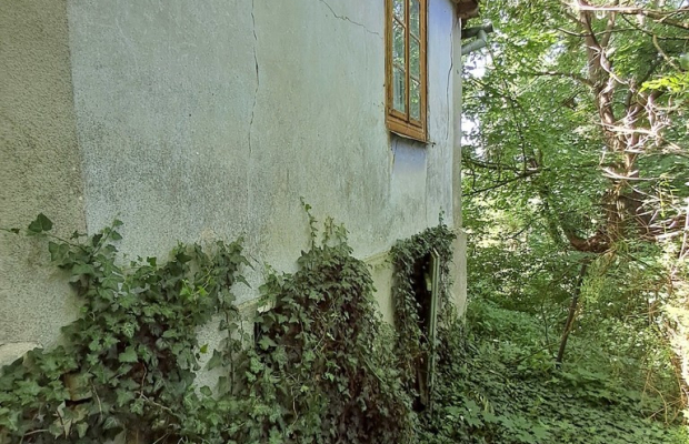 Gm. Rybczewice - Częstoborowice -siedlisko - 20ar