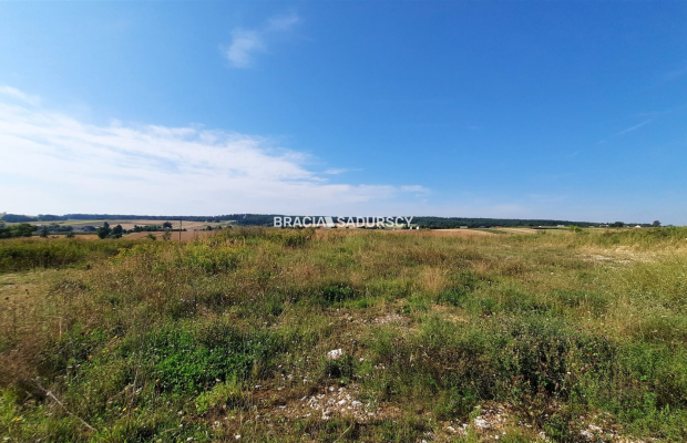 Działka usługowa przy drodze wojewódzkiej nr 794