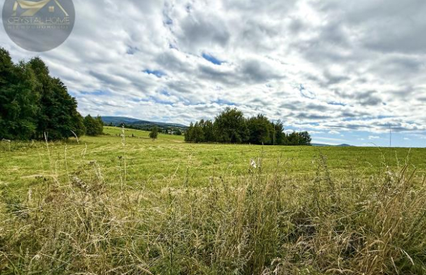 Działka 4025 m² z warunkami zabudowy – Boreczna