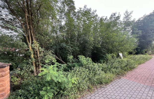 Wola Chodkowska gm. Kozienice - działka budowlana.