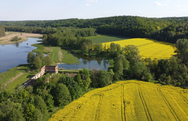 Działka inwestycyjna 35 ha  w Celejowie /Wąwolnica