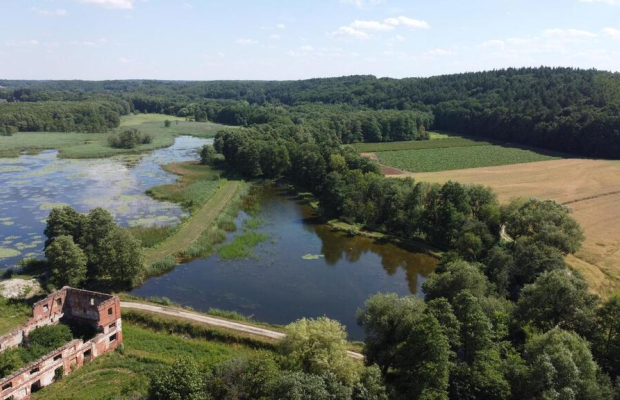 Działka inwestycyjna 35 ha  w Celejowie /Wąwolnica