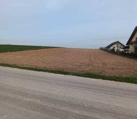 Działka  w bliskiej odległości od Lublina.