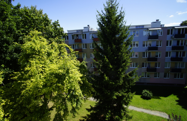 Dwupokojowe mieszkanie w centrum Świdnika