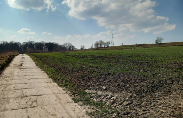 Jakubowice Murowane, gm. Wólka-działka 6600m2