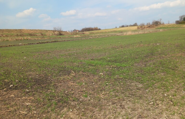 Jakubowice Murowane, gm. Wólka-działka 6600m2