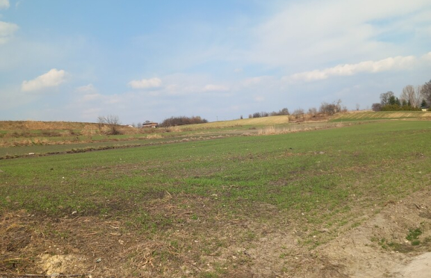 Jakubowice Murowane, gm. Wólka-działka 6600m2