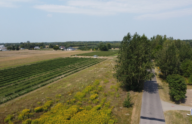 Działka 2940 m2 z WZ w Przyłęku pow. Zwoleń.