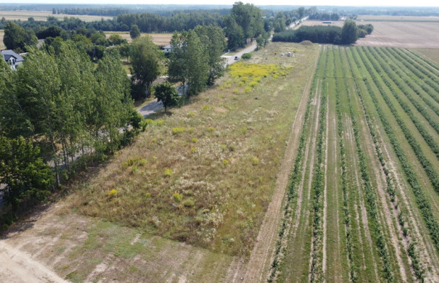 Działka 2940 m2 z WZ w Przyłęku pow. Zwoleń.