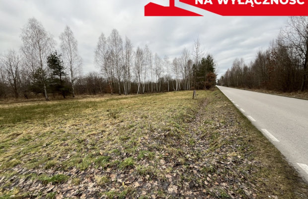 Działka 2600 m2 z WZ w Helenowie gm. Pionki.