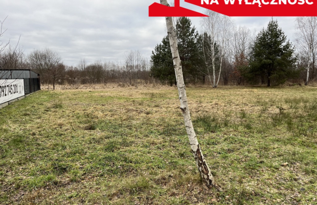Działka 2600 m2 z WZ w Helenowie gm. Pionki.