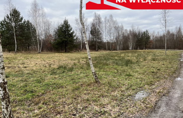 Działka 2600 m2 z WZ w Helenowie gm. Pionki.