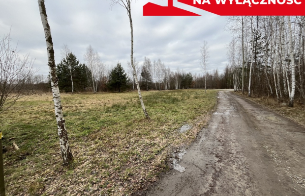 Działka 2600 m2 z WZ w Helenowie gm. Pionki.