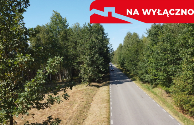 Działka 2600 m2 z WZ w Helenowie gm. Pionki.