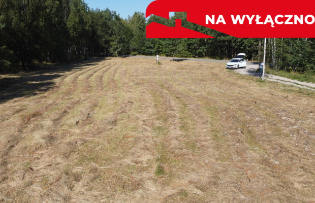 Działka 2600 m2 z WZ w Helenowie gm. Pionki.