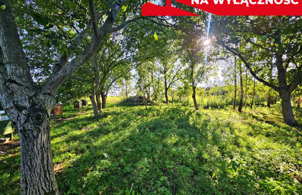 Działka rolna - 30ar - Smugi gm. Jastków
