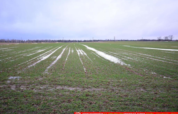 Wierciszów, działka budowlana MN, media.