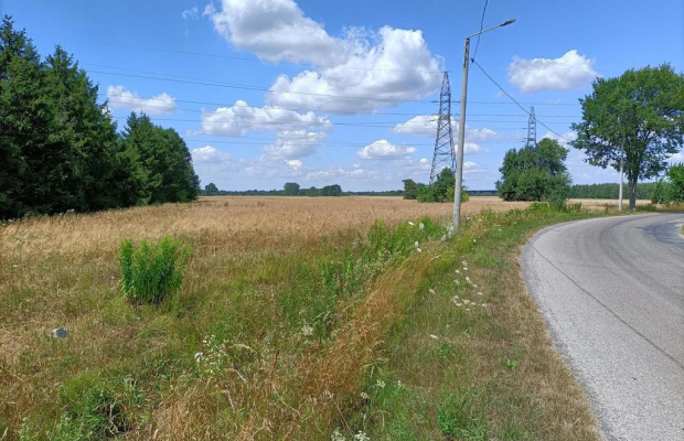 Działka 4 ha o różnym przeznaczeniu w Zwoleniu.