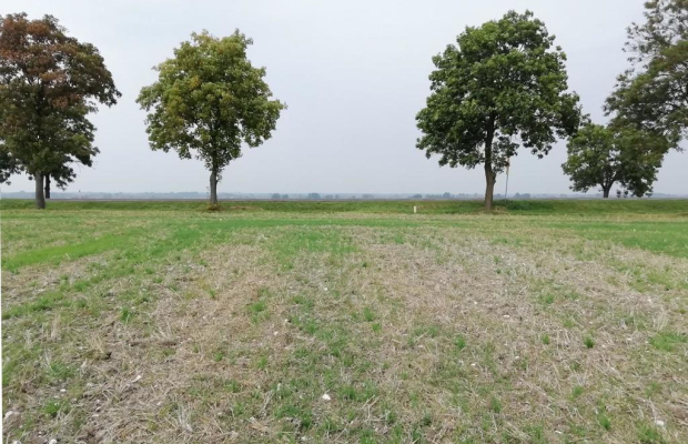 Działka inwestycyjna 4,5 ha bezpośrednio przy S12