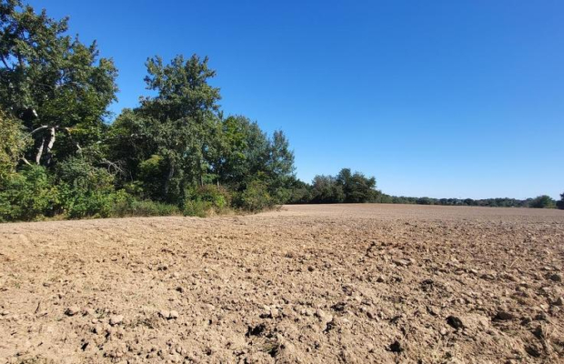 10 ar Konopnica - na zaciszu.