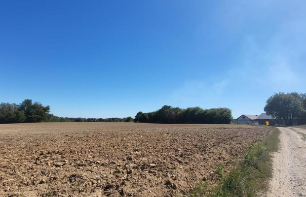 10 ar Konopnica - na zaciszu.