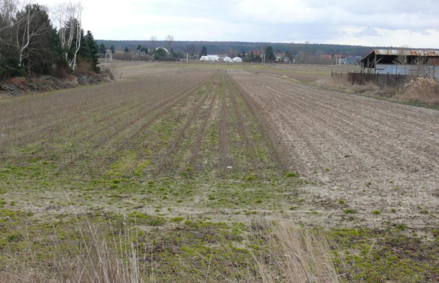 Działka w doskonałej lokalizacji-5 min. od Zalewu