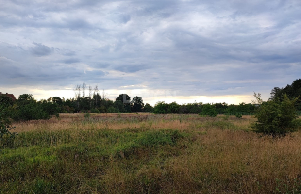 Kożuchów, działka budowlana, 4000 m2, cena 300 000 zł, sprzedam.  
  
Na sprzedaż duża działka w Kożuchowie, blisko drogi asfal