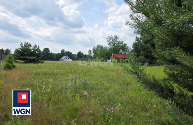Na sprzedaż atrakcyjna działka budowlana o powierzchni 20 arów (2000 m2) położona w miejscowości Wysoka, w gminie Przemków (woj