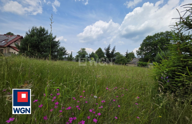Na sprzedaż atrakcyjna działka budowlana o powierzchni 20 arów (2000 m2) położona w miejscowości Wysoka, w gminie Przemków (woj