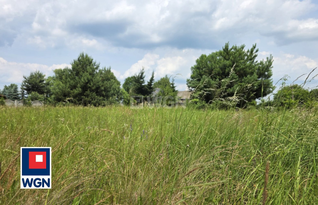 Na sprzedaż atrakcyjna działka budowlana o powierzchni 20 arów (2000 m2) położona w miejscowości Wysoka, w gminie Przemków (woj