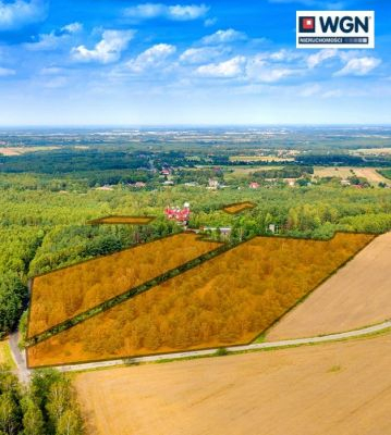 Dąbrowa - Kopanka, grunt inwestycyjny, 33 031 m2, sprzedam, 2 050 000 zł, netto.  
  
Na sprzedaż działki o łącznej powierzchni