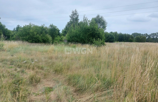 Chocianów, działka budowlana, 12 ar, 90 000 zł, sprzedam.  
  
W ofercie sprzedaży atrakcyjna działka budowlana o powierzchni 1